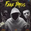 About Fake Bros Song